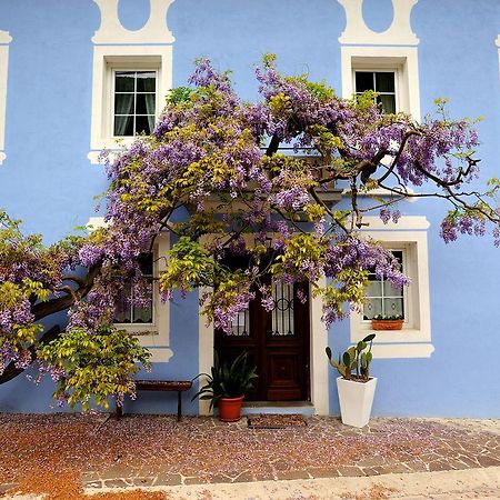 The Blue House Ξενοδοχείο Tolmin Εξωτερικό φωτογραφία
