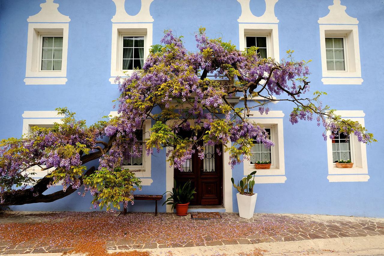 The Blue House Ξενοδοχείο Tolmin Εξωτερικό φωτογραφία